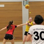 2016_01_23 Landesliga Frauen
